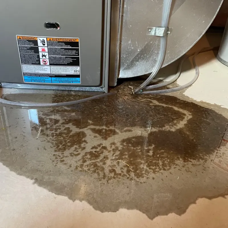 Appliance Leak Cleanup in South Laurel, MD